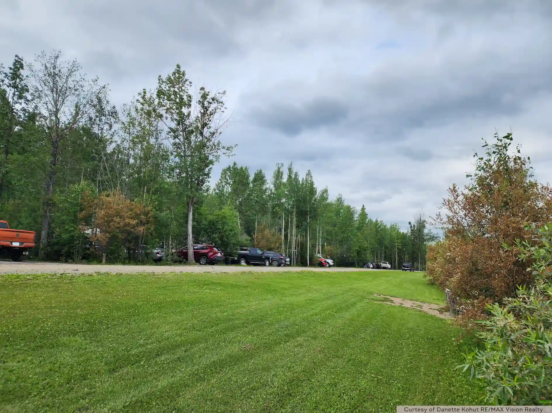 Louie Lake Trees and Vehicles