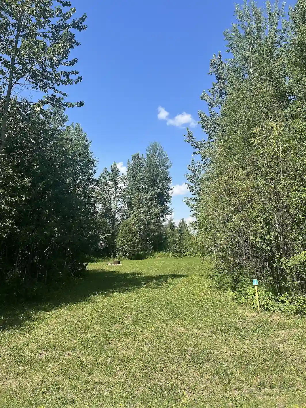 Louie Lake Site View